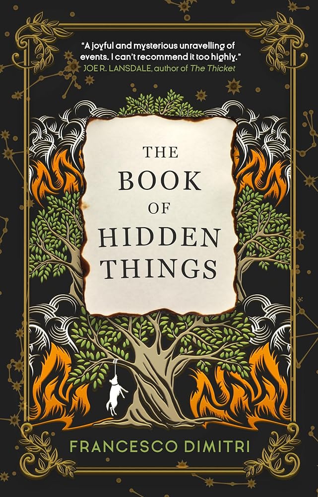 The Book of Hidden Things cover image