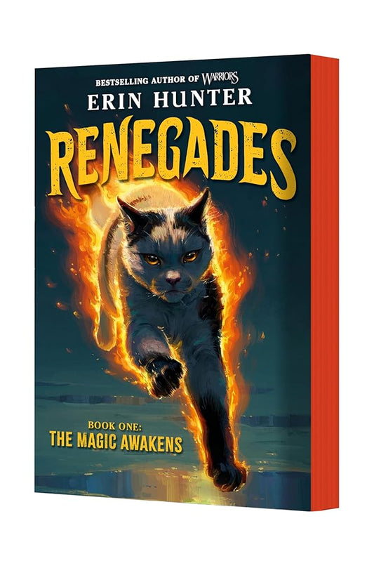 Renegades #1: The Magic Awakens cover image