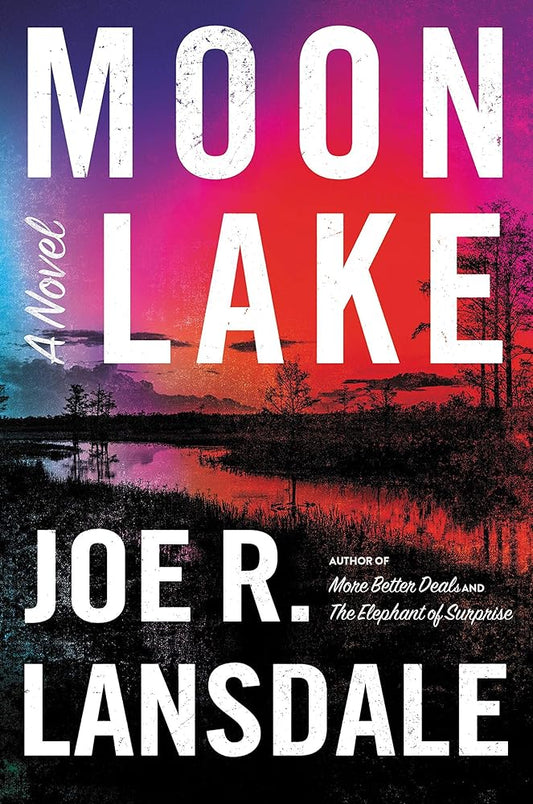 Moon Lake cover image