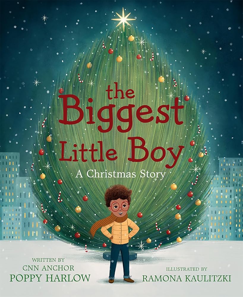 The Biggest Little Boy: A Christmas Story cover image