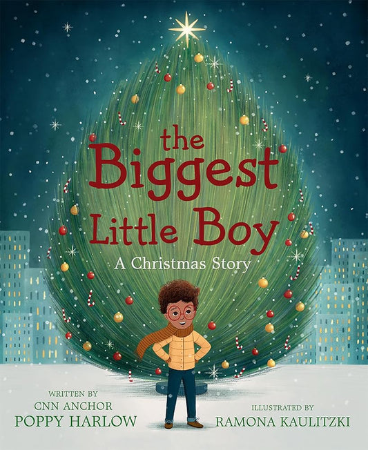 The Biggest Little Boy: A Christmas Story cover image
