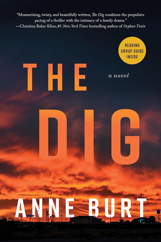 The Dig: A Novel cover image