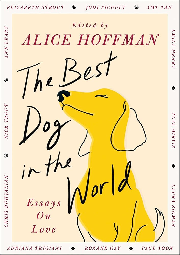 The Best Dog in the World: Essays on Love cover image