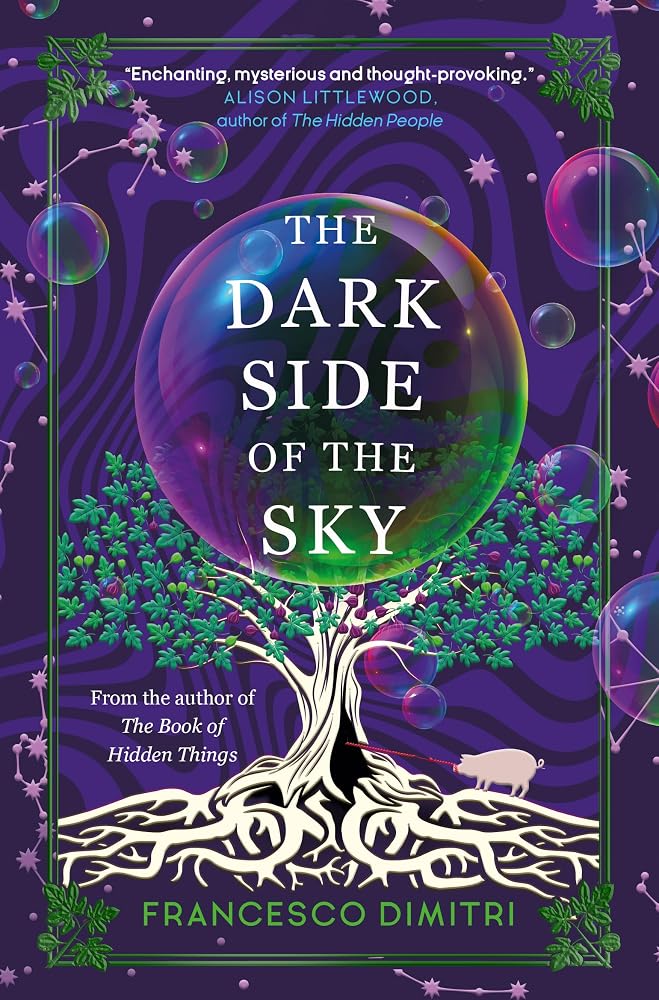 The Dark Side of the Sky cover image