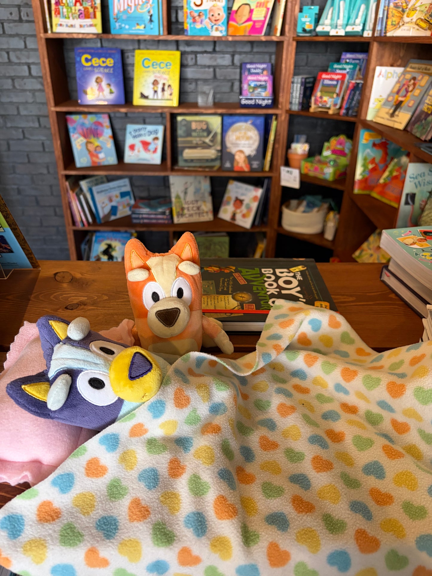 Stuffie Sleepover at Full Moon Book Garden