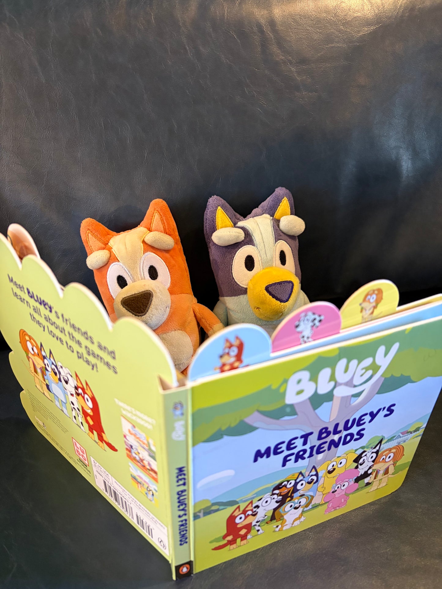 Stuffie Sleepover at Full Moon Book Garden